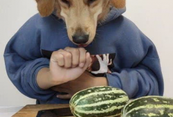 今日必吃的大瓜,揭秘娱乐圈最新猛料！