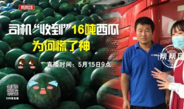 今日吃瓜完整版在线观看,热点事件深度解析