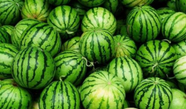 热门吃瓜今日必吃,热门吃瓜盘点，揭秘娱乐圈最新动态