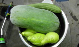 今日吃瓜热门大瓜,娱乐圈惊天大瓜，揭秘明星背后惊人真相！