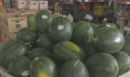 今日必吃瓜热门大瓜,揭秘热门大瓜背后的惊人真相